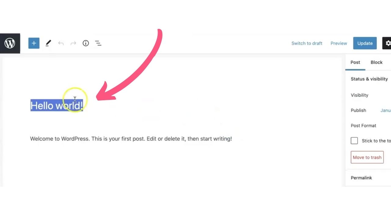 How to Write Your First Blog Post on WordPress